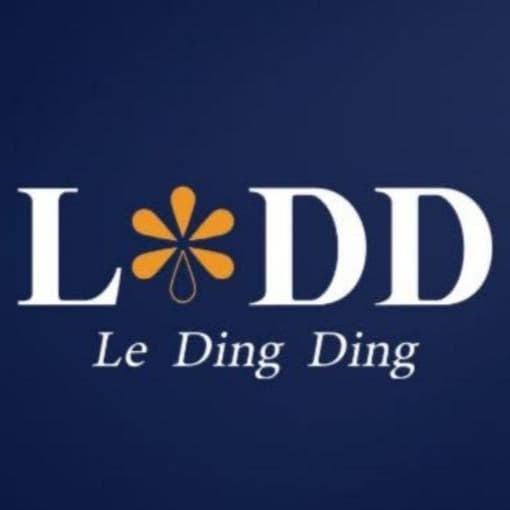 LeDingDing logo