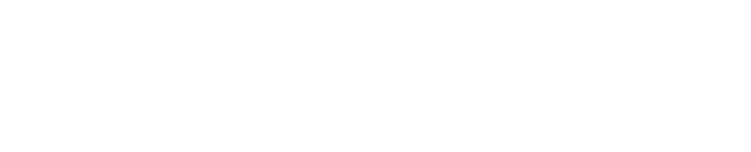 Noroid logo